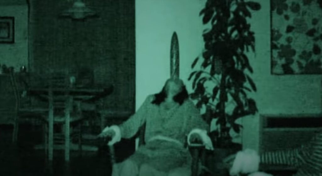 映画「カルト」ホラーとファンタジーを混ぜたモキュメンタリー